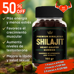 GOMAS SHILAJIT x 60 C/U