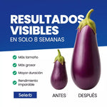 Capsulas Complex NAD+ Para Hombres